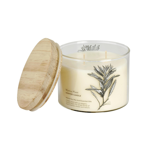 Natural Soy Candle Wax Aroma Scented Candle